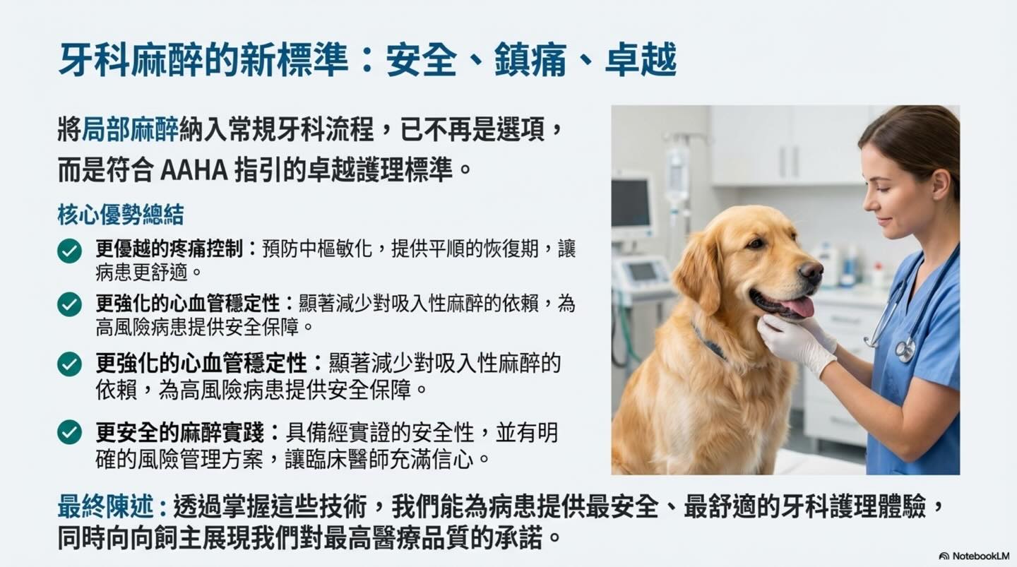 提升護理標準：獸醫牙科局部麻醉的實踐與安全圖卡 13