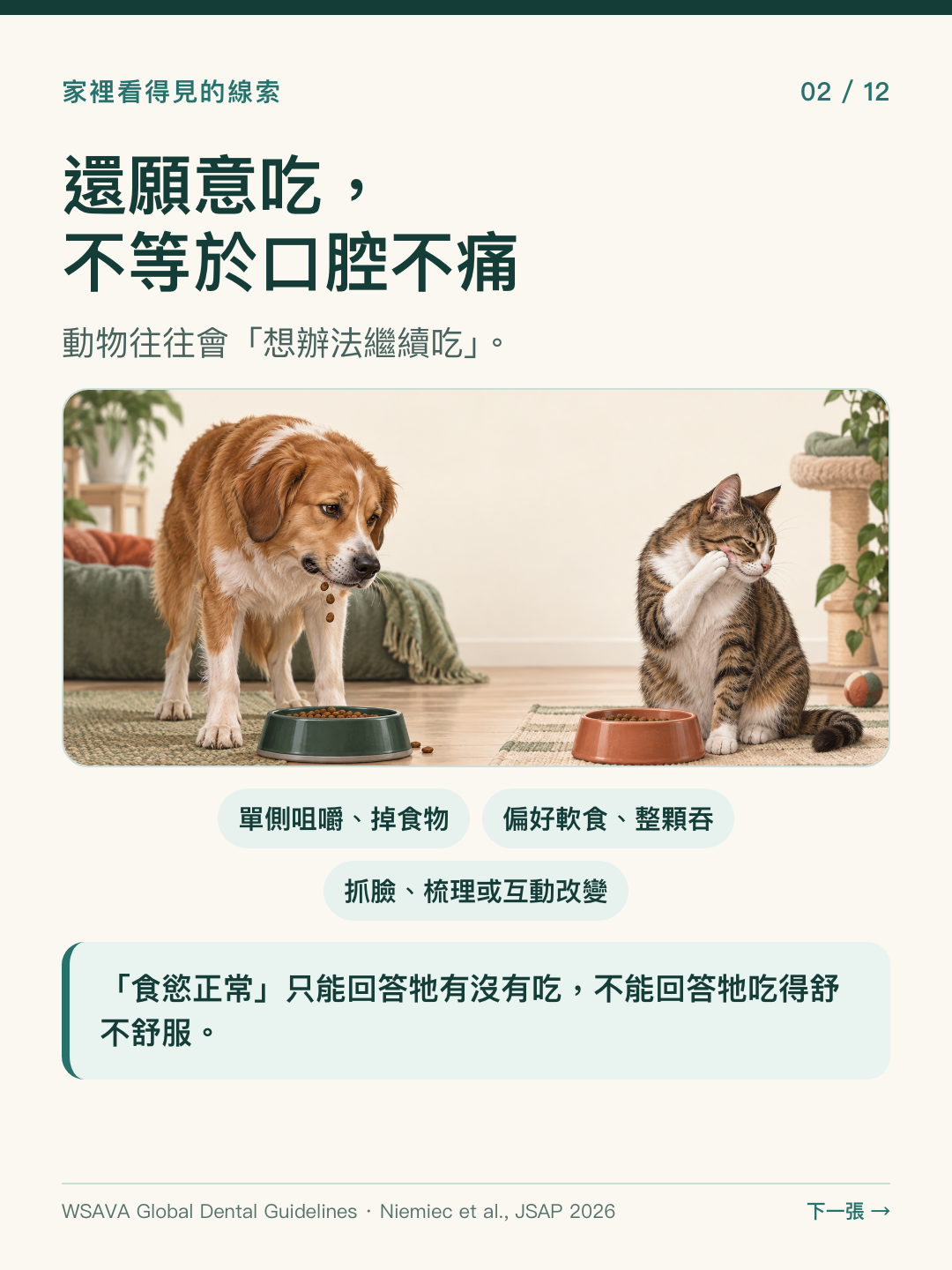 留意單側咀嚼、掉食物、偏好軟食，以及抓臉、梳理或互動改變等口腔疼痛線索。