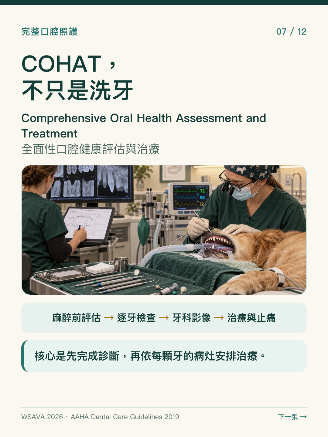 說明 COHAT 全面性口腔健康評估與治療，串起麻醉前評估、逐牙檢查、影像、治療和止痛。