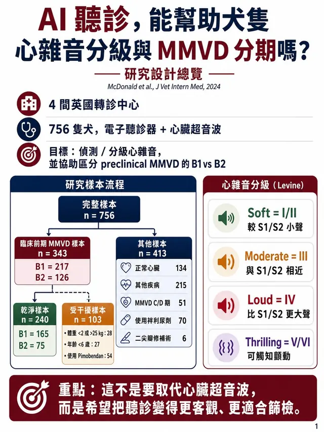 手機圖卡集合封面：AI 聽診能幫助犬隻心雜音分級與 MMVD 分期嗎？