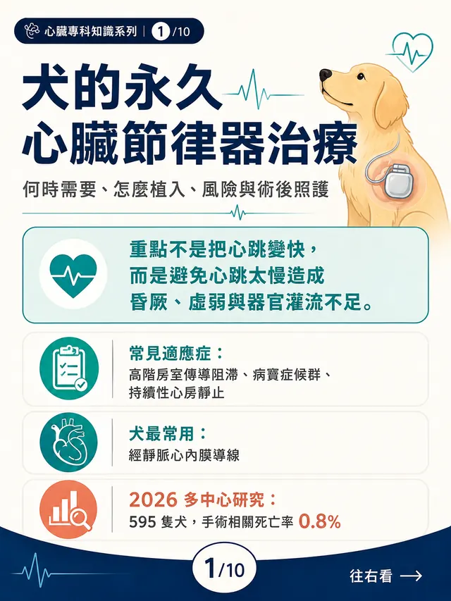手機圖卡集合封面：犬的永久心臟節律器治療
