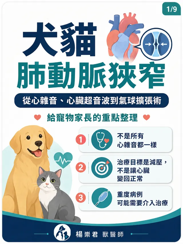 手機圖卡集合封面：犬貓肺動脈狹窄：從心雜音、心臟超音波到氣球擴張術