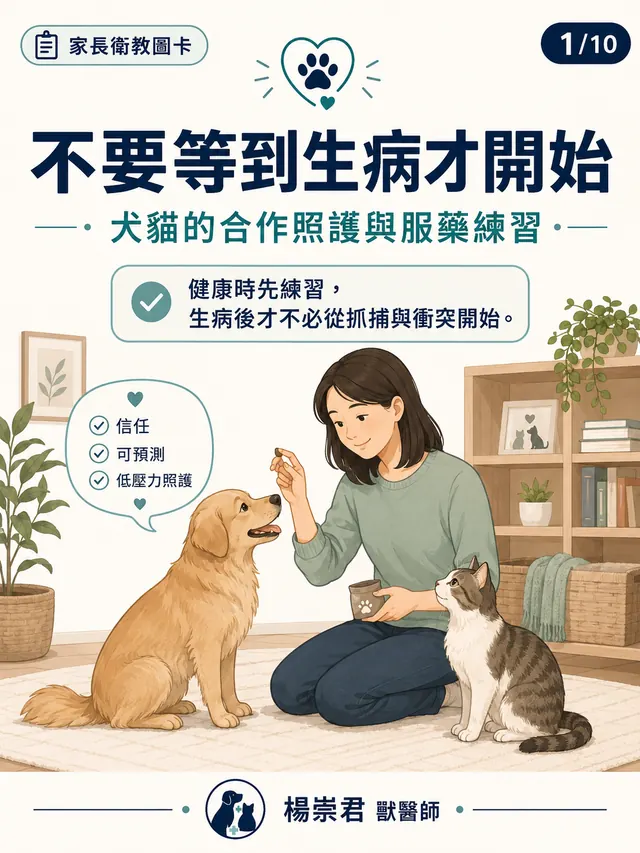 手機圖卡集合封面：不要等到生病才開始｜犬貓的合作照護與服藥練習