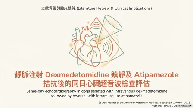 橫式手機圖卡集合封面：Dexmedetomidine 鎮靜及 Atipamezole 拮抗後的同日心臟超音波評估