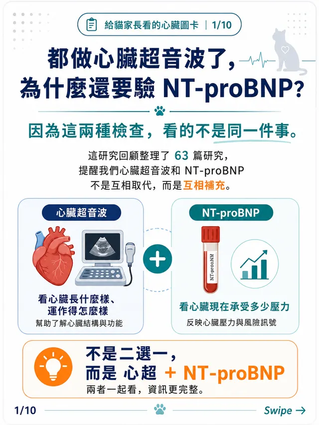 手機圖卡集合封面：都做心臟超音波了，為什麼還要驗 NT-proBNP？｜貓家長版