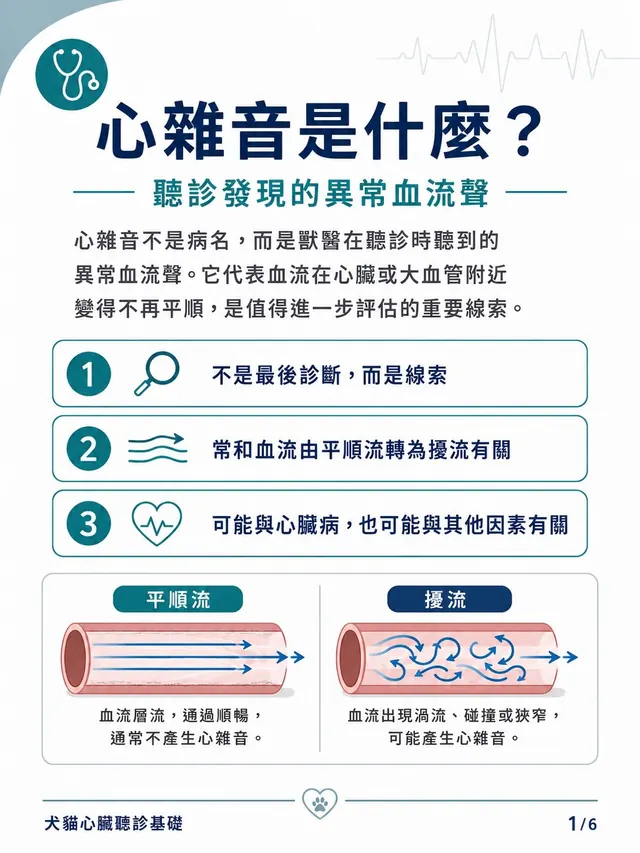 手機圖卡集合封面：心雜音是什麼？聽診發現的異常血流聲