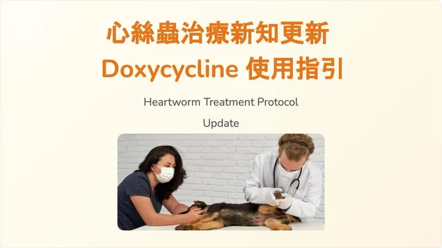 橫式手機圖卡集合封面：心絲蟲治療新知更新：Doxycycline 使用指引