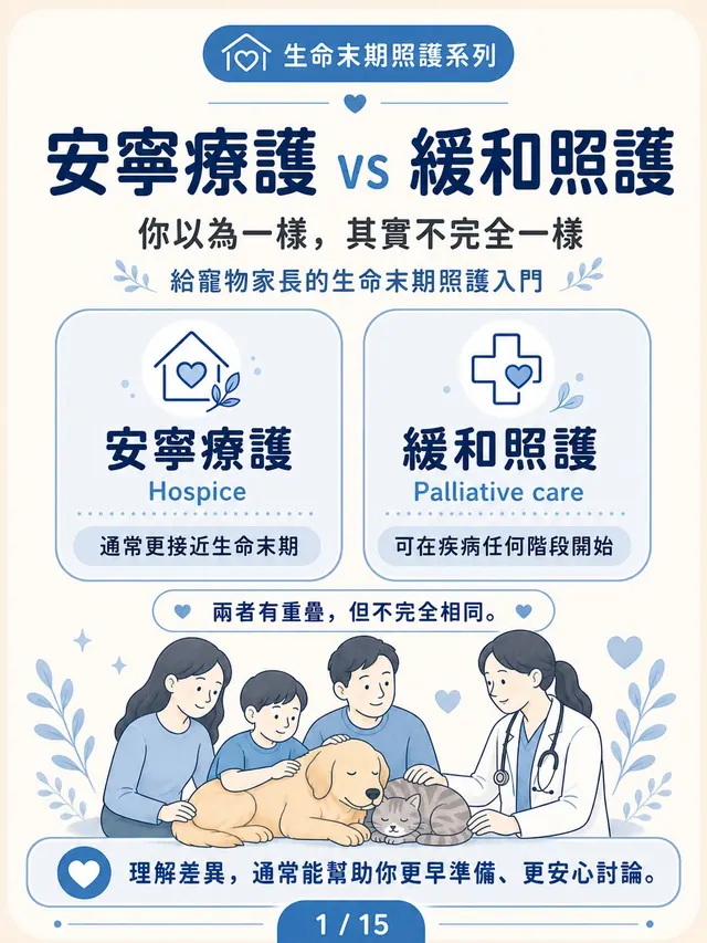 手機圖卡集合封面：安寧療護 vs 緩和照護