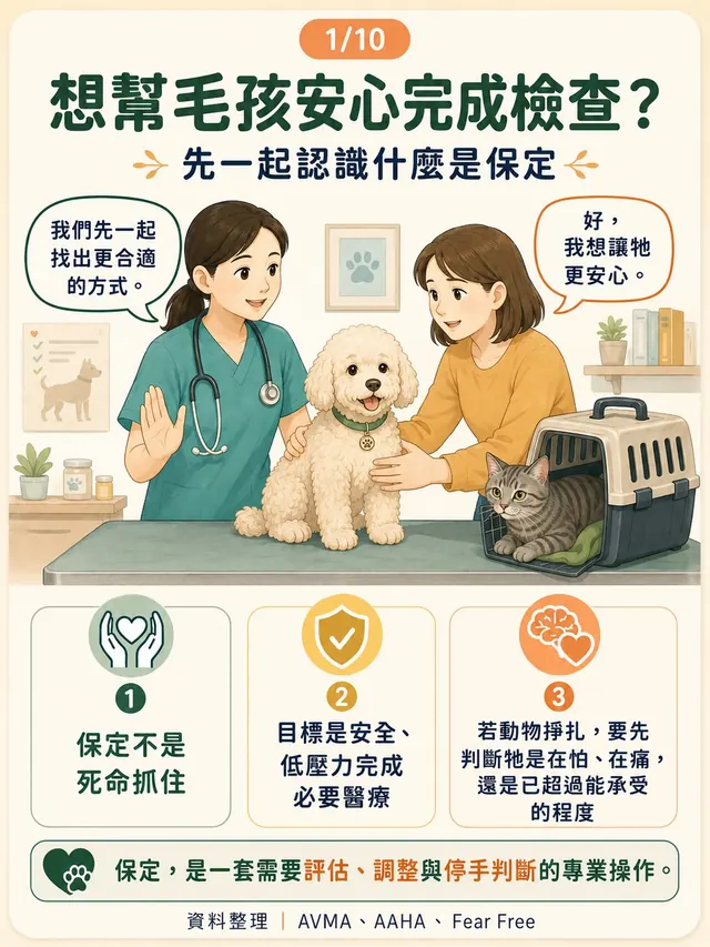手機圖卡集合封面：想幫毛孩安心完成檢查？先一起認識什麼是保定