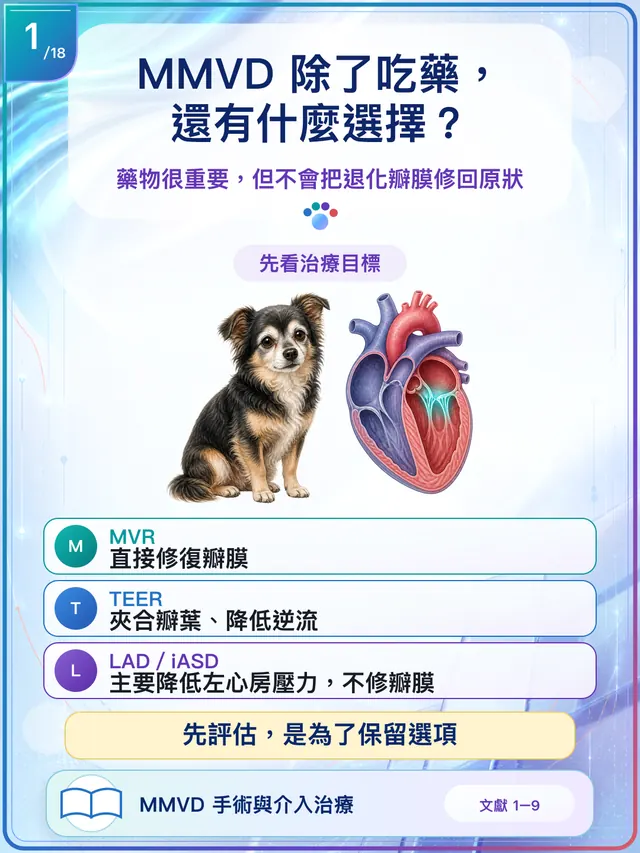 手機圖卡集合封面：犬退化性二尖瓣疾病（MMVD）｜手術與介入治療
