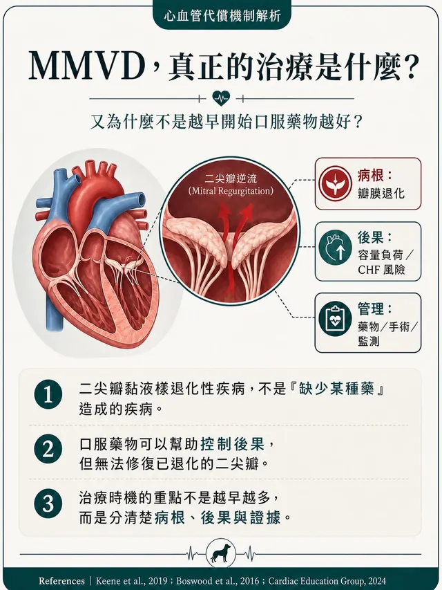 手機圖卡集合封面：MMVD，真正的治療是什麼？介入治療與時機