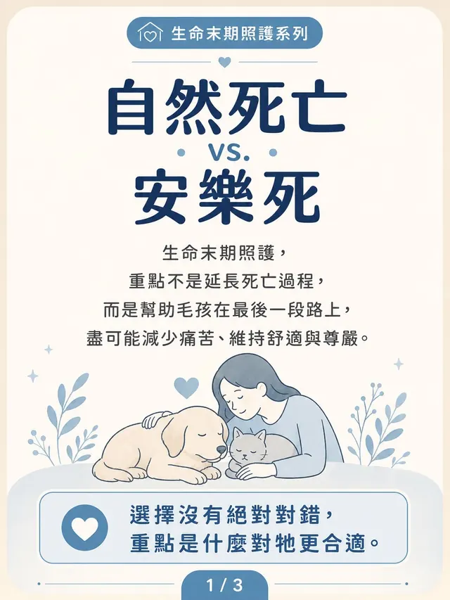 手機圖卡集合封面：自然死亡 vs 安樂死