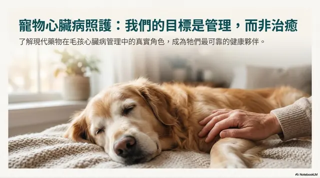 橫式手機圖卡集合封面：寵物心臟病照護：我們的目標是管理，而非治癒