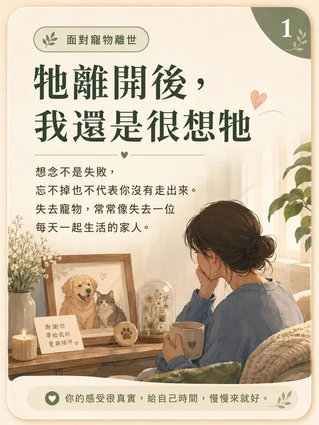 手機圖卡集合封面：牠離開後，我還是很想牠