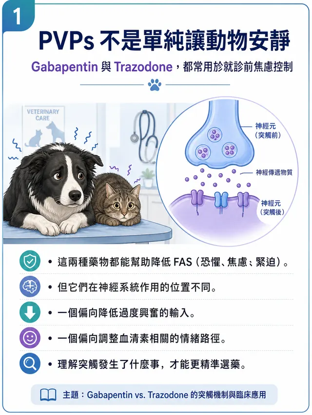 手機圖卡集合封面：PVPs｜就診前用藥