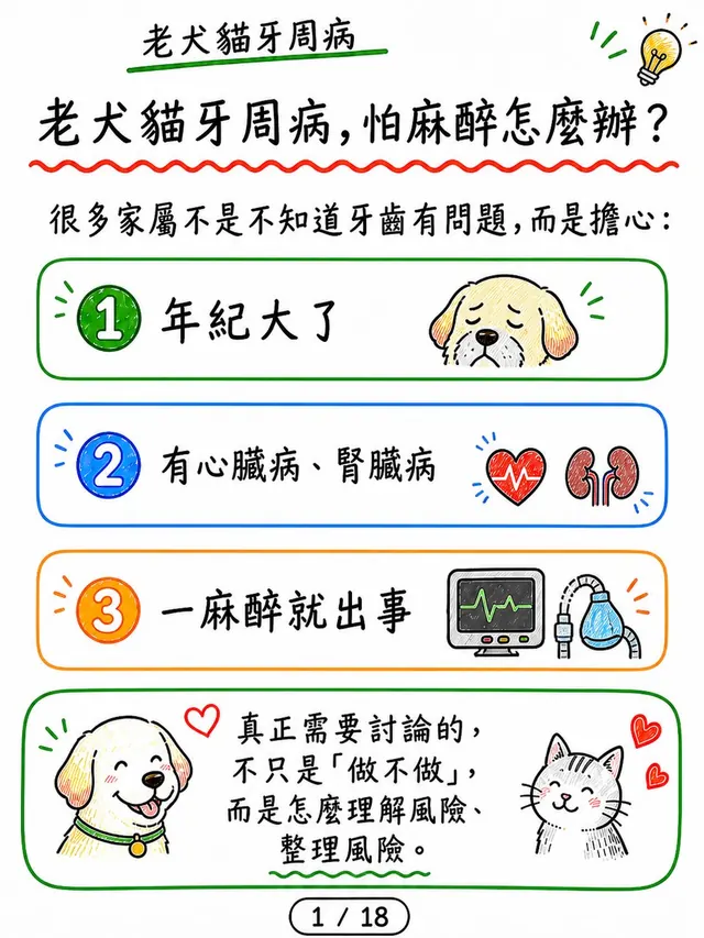 手機圖卡集合封面：老犬貓牙周病，怕麻醉怎麼辦？
