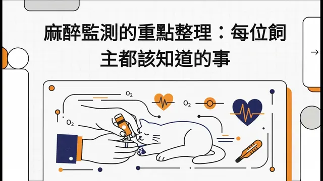 麻醉監測的重點整理：每位飼主都該知道的事衛教影片封面