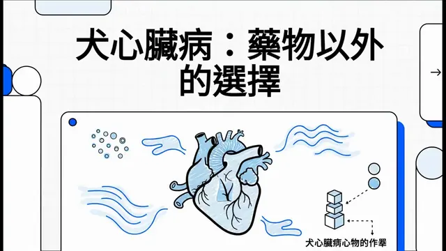 犬心臟病：藥物以外的選擇衛教影片封面