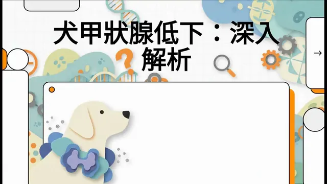 犬甲狀腺低下：深入解析衛教影片封面