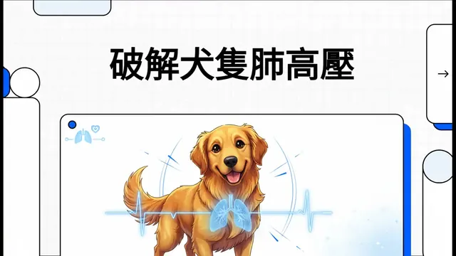 破解犬隻肺高壓衛教影片封面
