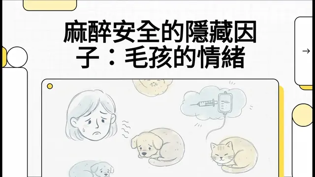 麻醉安全的隱藏因子：毛孩的情緒衛教影片封面