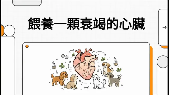 餵養一顆衰竭的心臟衛教影片封面