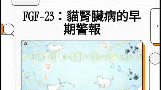 FGF-23：貓腎臟病的早期警報衛教影片封面