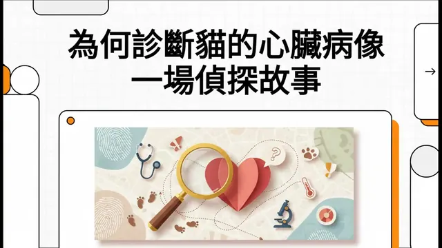 為何診斷貓的心臟病像一場偵探故事衛教影片封面