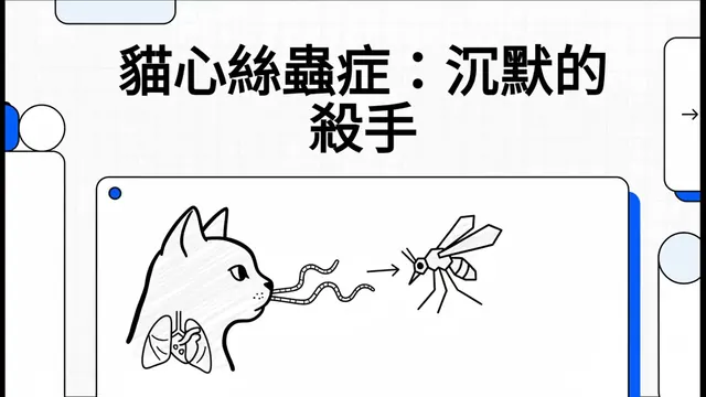 貓心絲蟲症：沉默的殺手衛教影片封面