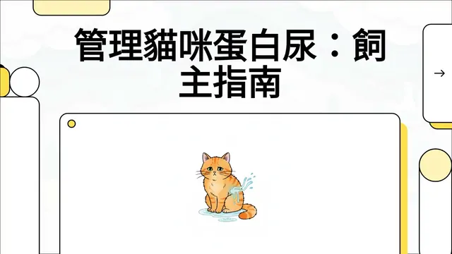 管理貓咪蛋白尿：飼主指南衛教影片封面