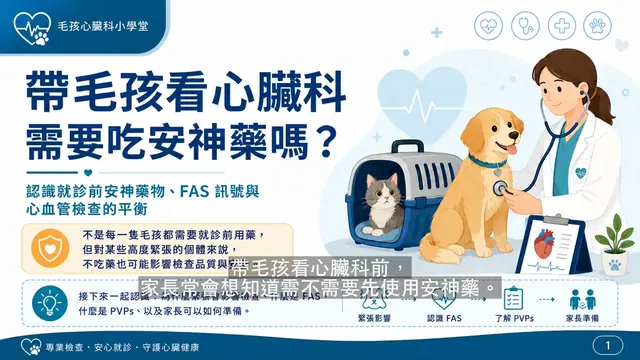 看心臟科需要吃 PVPs 嗎？衛教影片封面
