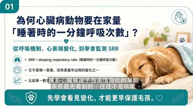 睡著時的一分鐘呼吸次數（SRR）：居家監測指南衛教影片封面