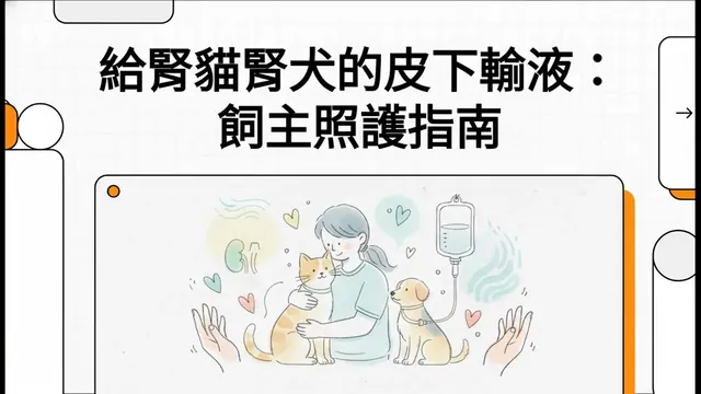 給腎貓腎犬的皮下輸液：飼主照護指南衛教影片封面