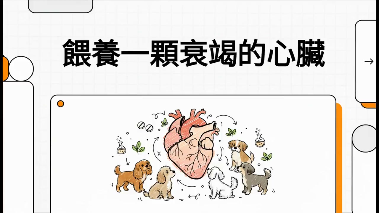 餵養一顆衰竭的心臟衛教影片封面
