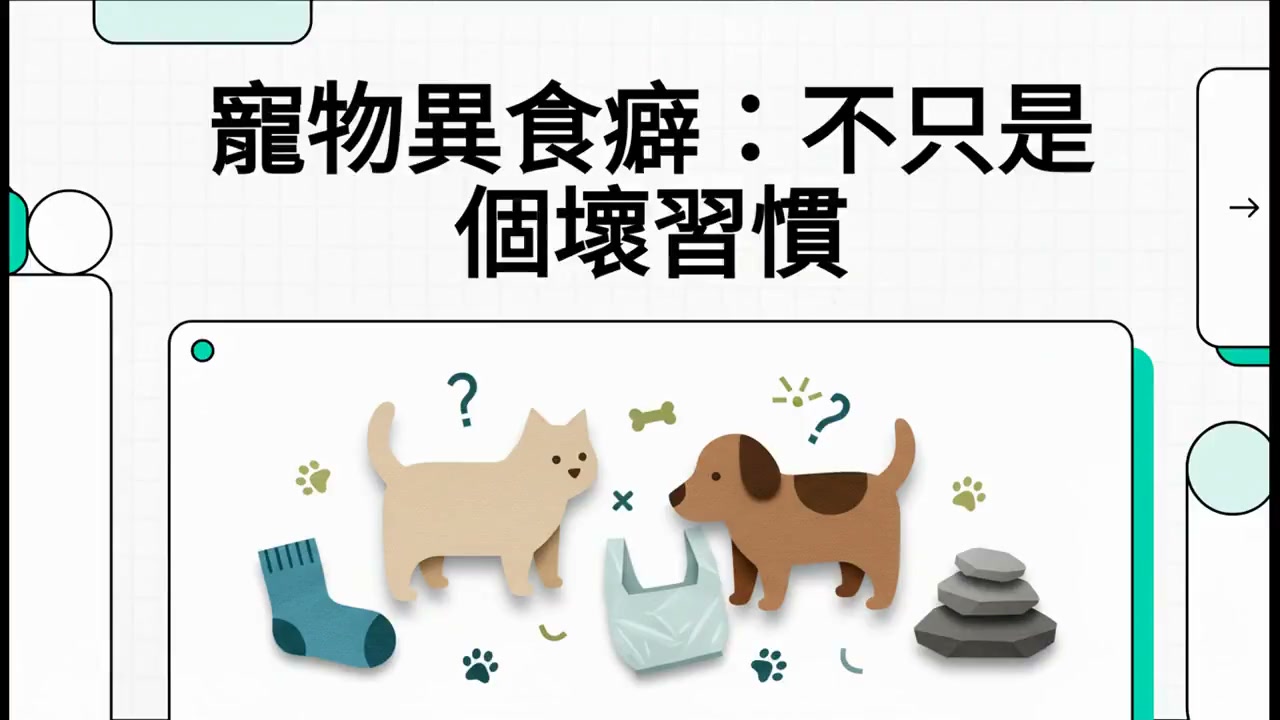 寵物異食癖：不只是個壞習慣衛教影片封面