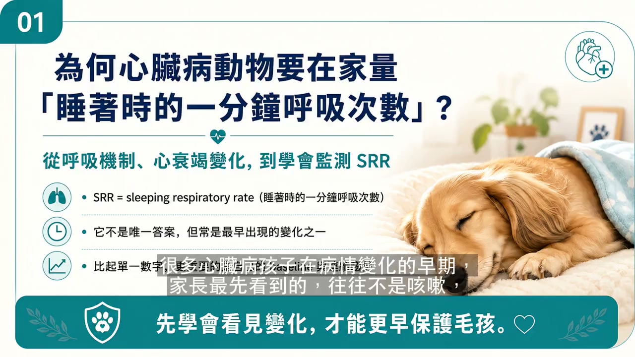 睡著時的一分鐘呼吸次數（SRR）：居家監測指南衛教影片封面