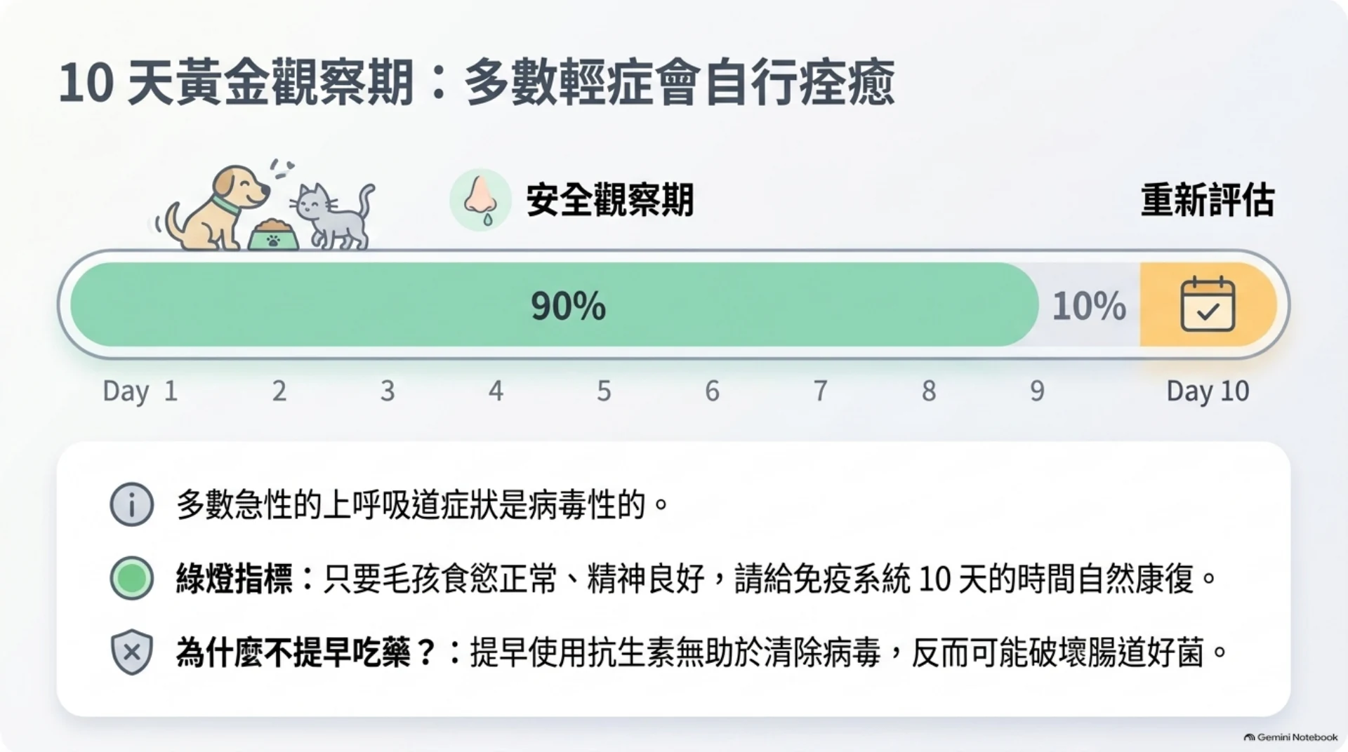 犬貓呼吸道感染與抗生素第 3 頁：多數輕症的 10 天觀察與重新評估