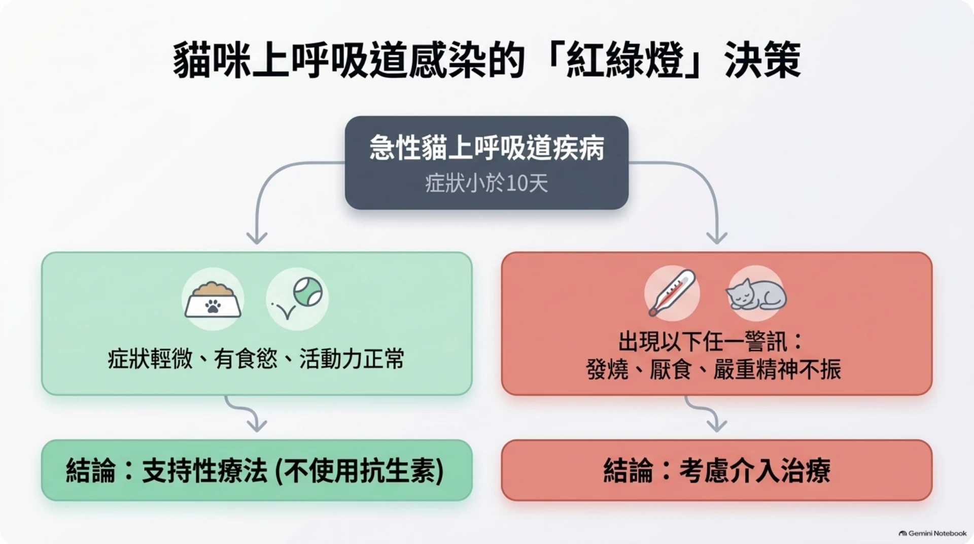 犬貓呼吸道感染與抗生素第 4 頁：貓上呼吸道感染的紅綠燈決策
