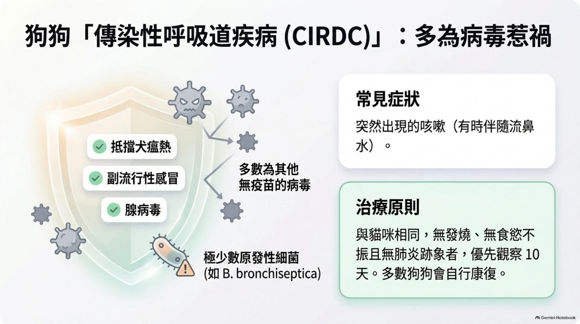 犬貓呼吸道感染與抗生素第 5 頁：犬傳染性呼吸道疾病的常見病因與觀察