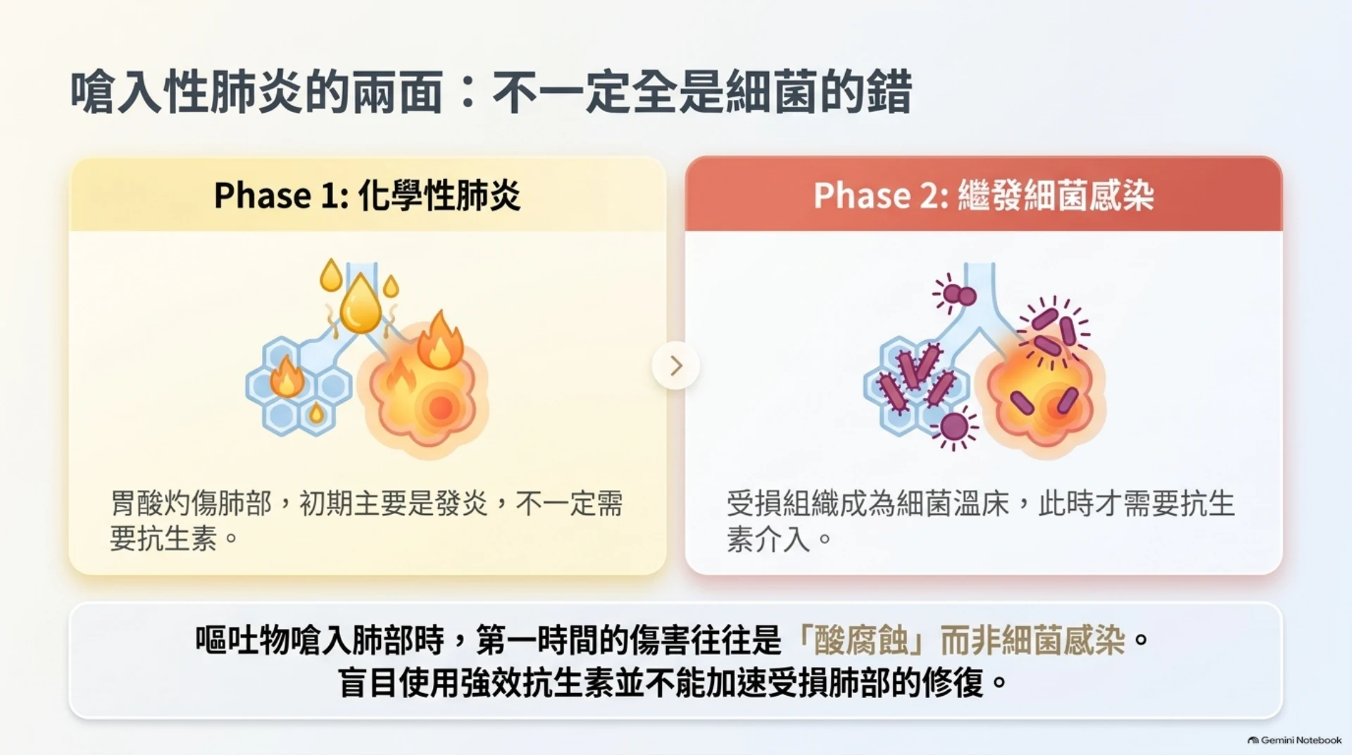 犬貓呼吸道感染與抗生素第 9 頁：吸入性肺炎的化學傷害與繼發感染