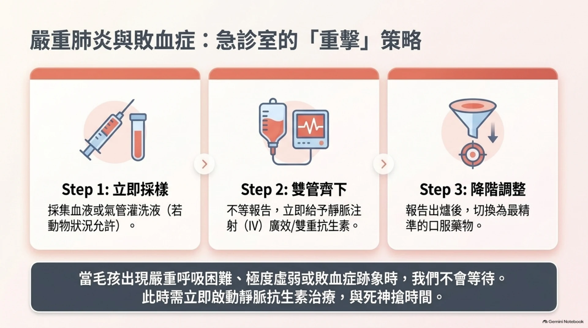 犬貓呼吸道感染與抗生素第 10 頁：嚴重肺炎與敗血症的急診處置