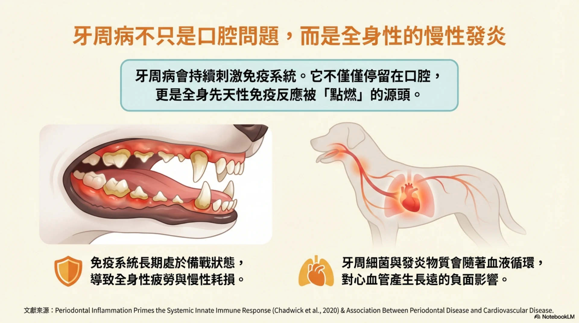 牙齒健康與心臟安全第 2 頁：牙周病與全身慢性發炎