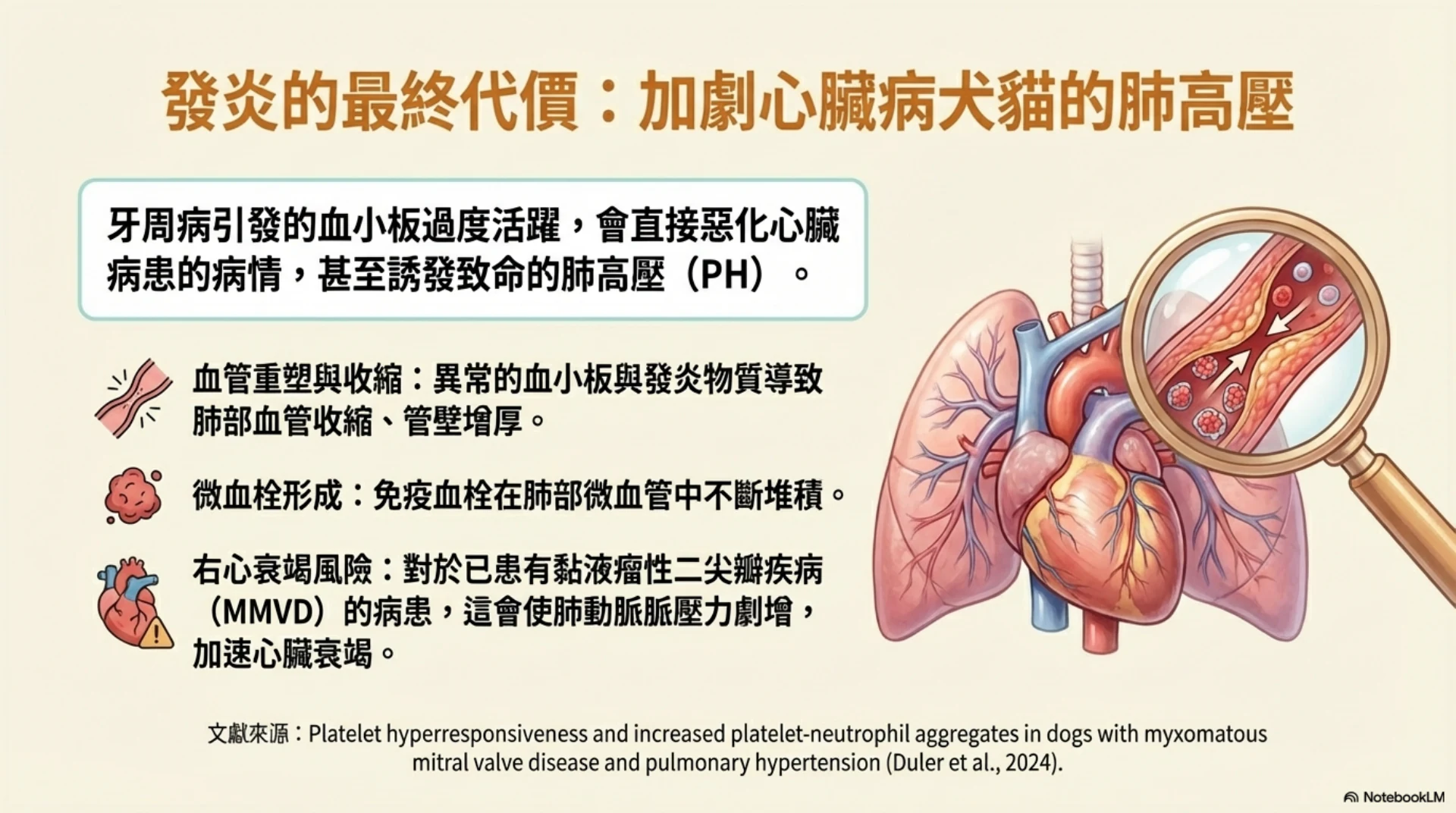 牙齒健康與心臟安全第 6 頁：牙周發炎與心臟病犬貓肺高壓