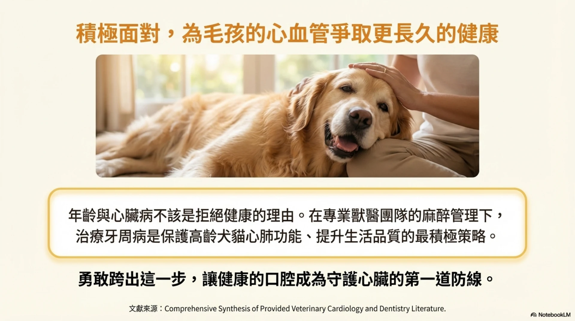 牙齒健康與心臟安全第 15 頁：為長期健康積極處理口腔問題