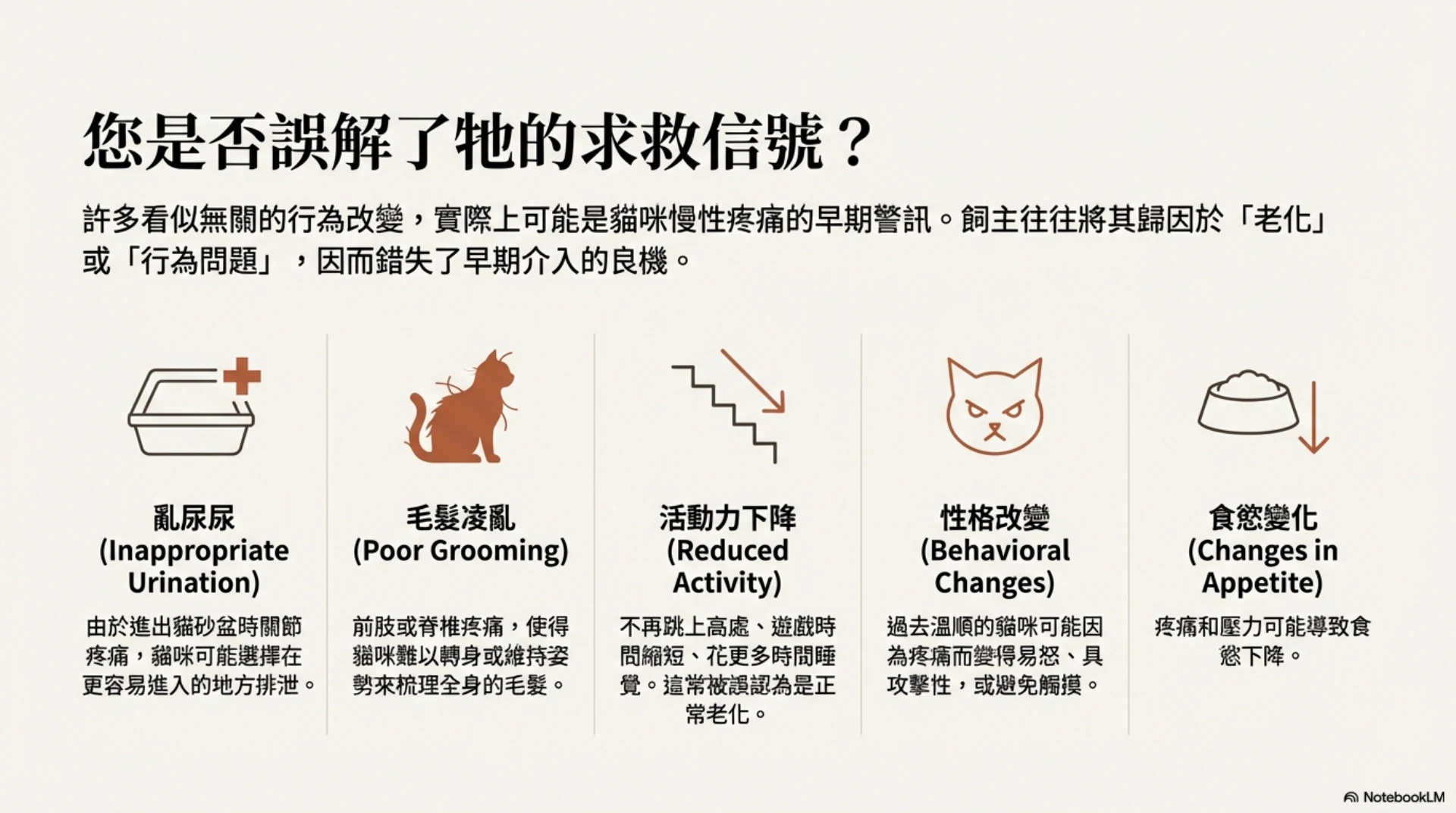 貓咪前肢疼痛與臨床觀察第 2 頁：日常行為中的觀察線索