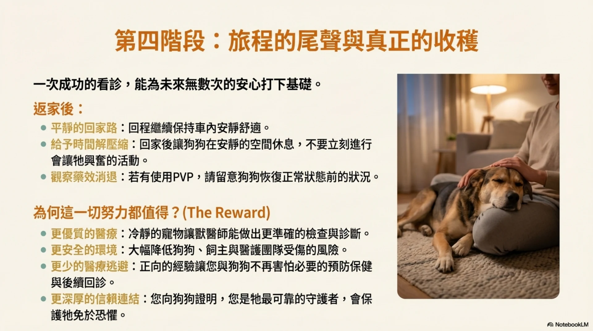 寵物低壓力就醫指南第 12 頁：返家恢復與正向經驗