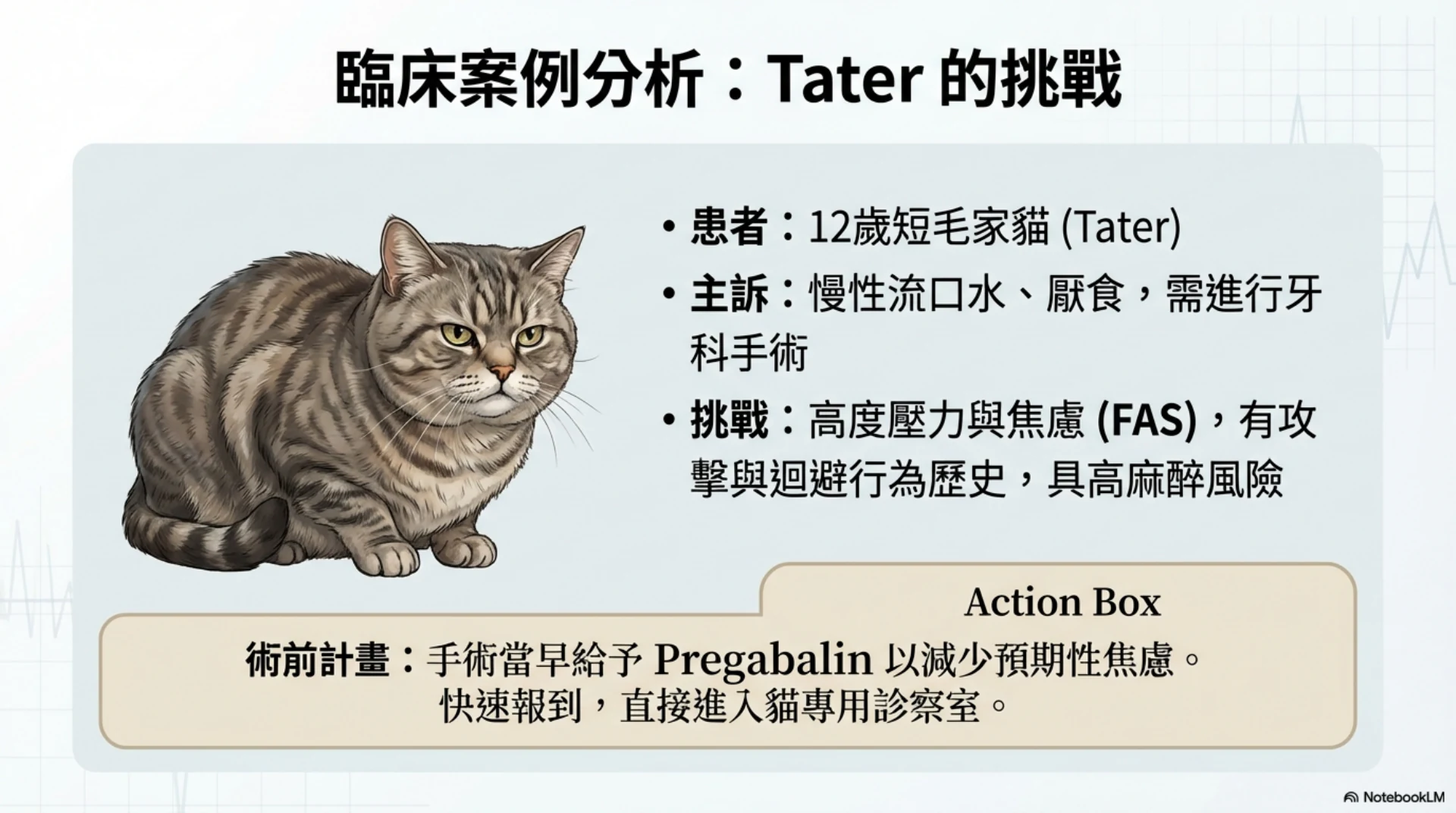 小動物麻醉恢復照護第 11 頁：Tater 臨床案例