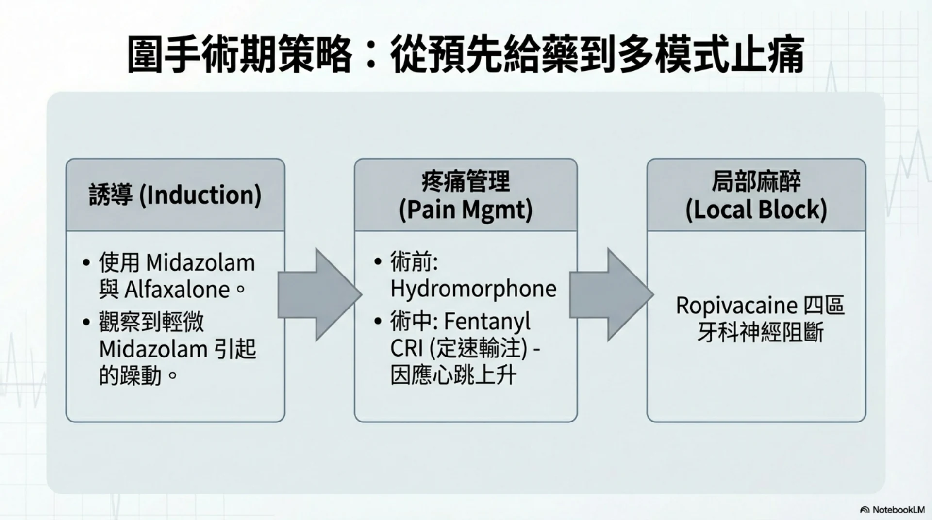 小動物麻醉恢復照護第 12 頁：圍手術期多模式止痛