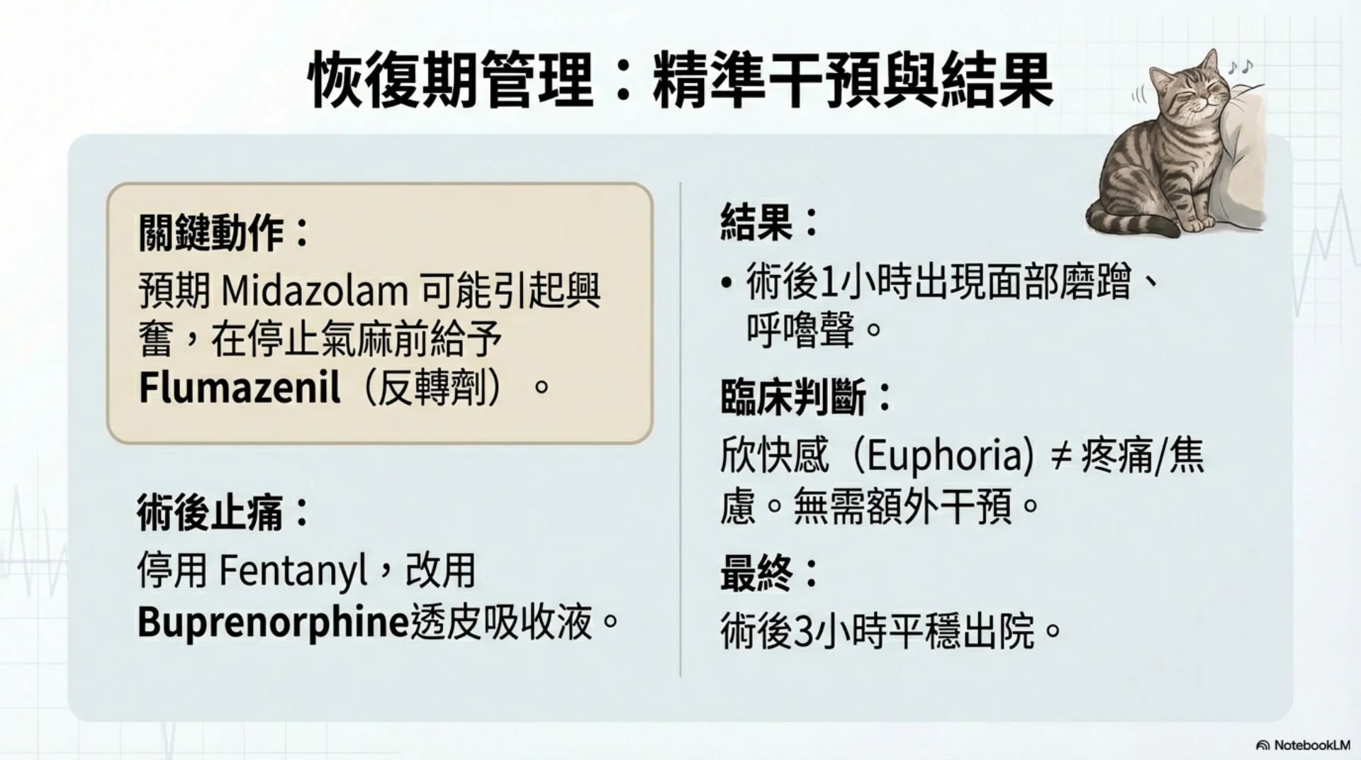 小動物麻醉恢復照護第 13 頁：恢復期干預與案例結果