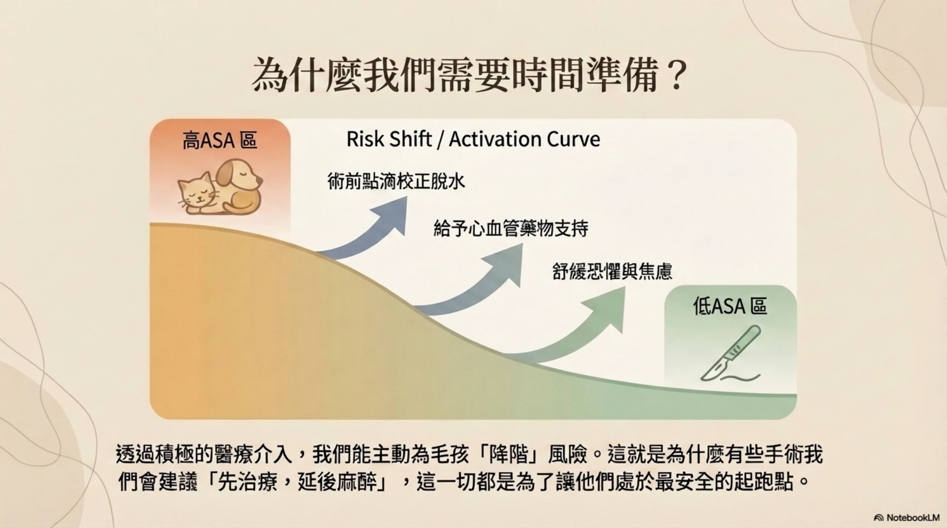 毛孩麻醉安全旅程第 5 頁：術前準備與風險調整